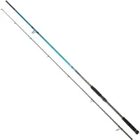 Daiwa Spitfire Seabass Spinnrute