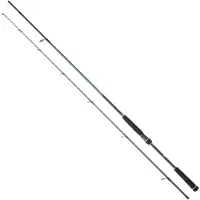 Daiwa Caldia Seabass Standard I Spinnrute