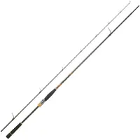 Daiwa Morethan Branzino Expert Allround Custom Spinnrute
