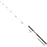 Daiwa Saltist Off Shore Spinnrute