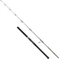 Penn Regiment Iv Offshore Spinnrute