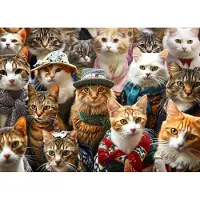 Sonstiges Puzzle 1000 Teile Erwachsene Fashion Cat Kollektion 70x50 cm