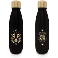 Pyramid Harry Potter Quidditch Schnatz Flasche