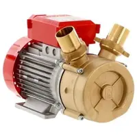 Rover Pompe Rover BE-M 50 - Elektropumpe aus Bronze - 230V