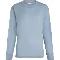 Icebreaker - Women's Merino 150 Tech Lite L/S Relaxed Tee - Merinoshirt Gr XL grau
