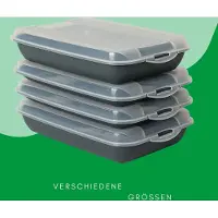 Novaliv Anthrazit Premium Aufschnittbox mit Transparentem Deckel, Frischhaltedosen für Wurst & Käse Maße 25x17x3 cm Kühlschrank Organizer Knäckebrotbox Wohnung must-have Küchen Gadgets