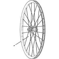 Zipp Cx-ray J-bend External With Titanium Washers Speiche 3 Einheiten