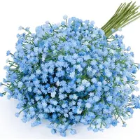 Merkloos Omgoods – Künstliche Gypsophila-Blumen für Hochzeit und Dekoration