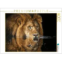 CALVENDO Puzzle – Löwe, König des Wassers | 2000 Teile, fertige Größe: 90 x 67 cm | Fotopuzzle für entspannte Stunden