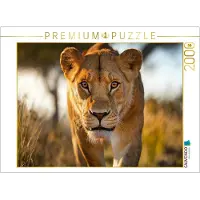 CALVENDO Puzzle Hunter of the Savannah | 2000 pieces, finished size 35.4 × 26.4 in (90 × 67 cm) | Photo puzzle for happy hours