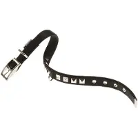 Ferplast Dual 15 Mm 35 Cm Hundehalsband