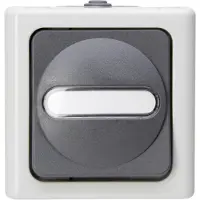 Heinrich Kopp Kopp 561456001, Drucktasten-Schalter, 1P, Thermoplast, Grau, Weiß, IP44, 78 mm