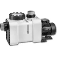 Speck BADU Delta 28 Poolpumpe,Ausführung: 230 V