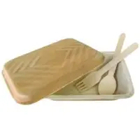 Castimondi GmbH & Co. KG biomondi Lunchbox, Einweg-Lunchbox zum Aufbewahren und Servieren, 1 Packung = 25 Stück, Fassungsvermögen: 750 g