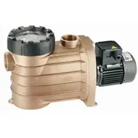 Speck BADU Bronze 22 230 V Schwimmbad Poolpumpe