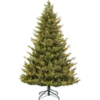 Black Box Trees Clive mit LED-Beleuchtung - Weihnachtsbaum mit 200 LEDs - Weihnachtsdeko mit Klappmechanismus - Weihnachten für Innenbereich - H185 x Ø130 cm - Grün