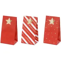 Dripio Adventskalender-Tüten rot, 24 Stück, DIY, 8x18x6,5 cm