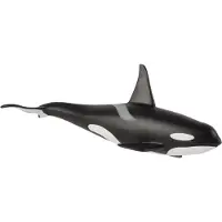 Small Foot Mojo Fun Male Orca, 3 Jahr(e), SEALIFE, Schwarz, Weiß, Polyvinylchlorid (PVC)