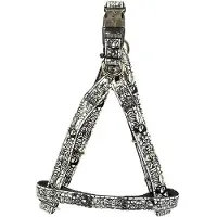 Nayeco Envy Street Hundegeschirr