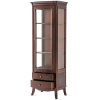 AEA Vitrine Glasschrank Regal Bücherschrank Wohnwand Schrank Möbel Regale Wohnzimmer