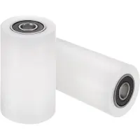 Dripio 2 Nylonrollen mit Lagern, 10x40x70 mm