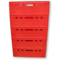 Merkloos Set aus 5 Aufbewahrungsboxen für Fleisch, 60 x 40 x 20 cm, rot