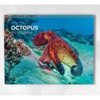 Merkloos Mondkalender 2027 mit Oktopus-Motiven