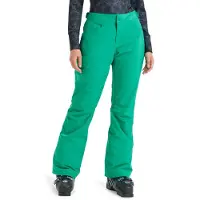 Roxy Snowboardhose "Backyard 10K"