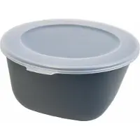 Koziol Aufbewahrungsbox Connect Box 2, Vorratsdose, Kunststoff, Nature Ash Grey, 2 L, 8871701