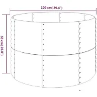 vidaXL Hochbeet Verzinkter Stahl oval Gemüsebeet Pflanzbeet Blumenkübel Metall für Garten Terrasse Balkon Gemüse Kräuter Blumen Anzucht Silber100x100x68 cm