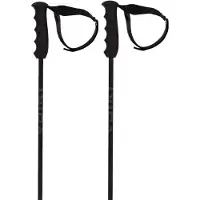 Völkl Speedstick Stöcke