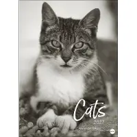 Merkloos XXL-Kalender 2027 – Elegante Katzenmotive in Schwarz-Weiß