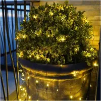 Sirius Home Easy-Line Lichternetz 100 LED warmweiß außen 1,5 m grün