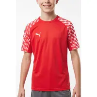 Puma teamLIGA26 Jersey Flock: - Größe: 140