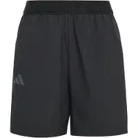 Adidas Terrex Multi Clima365 Kurze Hose