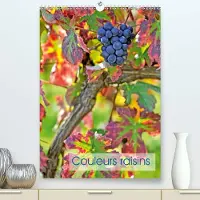 Merkloos Wandkalender "Couleurs Raisins" 2020