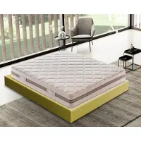 Selius Schaumstoffmatratze - Kaltschaummatratze - HR-Matratze - Orthopädische Matratze - Festige Matratze - 180x200 cm - 19 cm Höhe