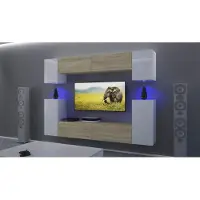 Furnitech Wohnwand Wohnzimmer - Wohnzimmer Möbel mit LED RGB - 16 Farben - Hängend Wohnwand Modern - Regale und TV Schrank (AN43-17SW-HGM45 1A)