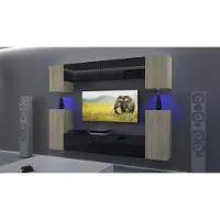 Furnitech Wohnwand Wohnzimmer - Wohnzimmer Möbel mit LED RGB - 16 Farben - Hängend Wohnwand Modern - Regale und TV Schrank (AN43-17SB-HGM40 1A)