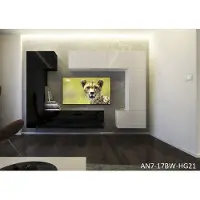 Furnitech Colmar Modernes Wohnzimmer Wohnwände Wohnschränke Schrankwand Schwarz Weiß Hochglänzend AN 7 (LED RGB (16 Farben), AN7-17BW-HG21 1B)