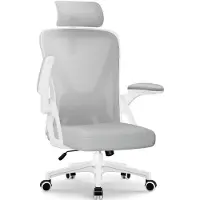 Selius Ergonomischer Bürostuhl mit Lendenwirbelstütze und Kopfstütze – Klappbare Armlehnen