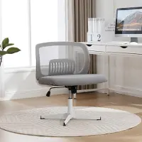 Selius Bürostuhl ohne Armlehnen - Ergonomischer Bürostuhl - Computerstuhl - Stuhl für den Schreibtisch