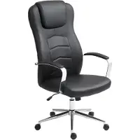 Selius Bürostuhl - Ergonomischer Bürostuhl - Bürostuhl - Stuhl mit Lederoptik - Arbeitstischstuhl - Verstellbare Sitzhöhe
