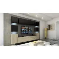 Furnitech Wohnwand Wohnzimmer - Wohnzimmer Möbel mit LED RGB - 16 Farben - Hängend Wohnwand Modern - Regale und TV Schrank (Future 14_HGM_BS_9 1A - 256cm)