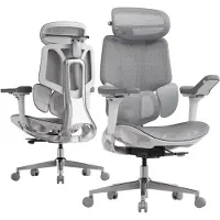 Selius Ergonomischer Bürostuhl - Bürostuhl - Netzbürostuhl - Arbeitshocker - Drehstuhl - Flexible Lendenwirbelstütze