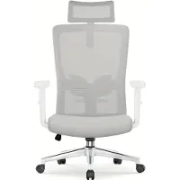 Selius Ergonomischer Bürostuhl mit verstellbarer Kopfstütze, Lendenwirbelstütze und Neigungsfunktion