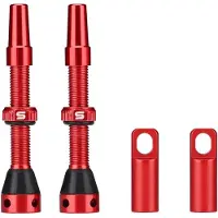 Trankielo - 2 Stück Ventile für Tubeless-Reifen, Presta-Ventil, 60 mm – Aluminium – Geeignet für Mountainbikes – Keine Luftverluste
