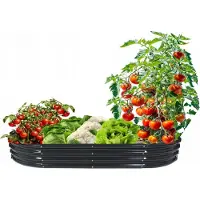 MIKONI HOCHBEET 180x90x30cm Oval Anthrazit Pflanzenbeet Gartenbeet Pflanzkübel Blumenkasten Gemüsebeet Frühbeet Kräuterbeet Beeteinfassung Beetrand 8434