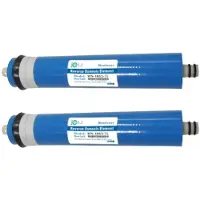 HUINING Umkehrosmosemembran-Ersatzfilter 75 GPD 2 Stück 0,0001 µm Filtration