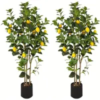 Selius Kunstzitronenbaum - Set aus 2 - 122 cm hoch